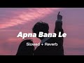 Apna Bana Le Slowed AndReverb Bhediya VarunDhawan Kriti Sanon Arijit Singh Half Slowed