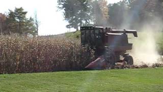 IH Combine Harvest 08