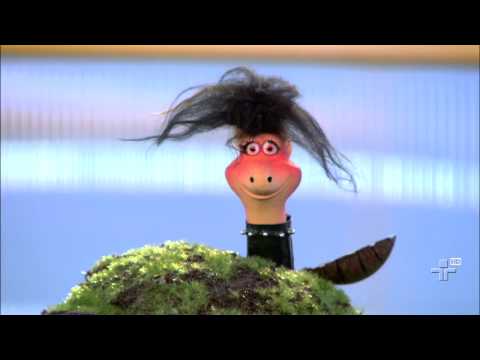 Quintal Musical - O Cravo e a Rosa - 16/01/14