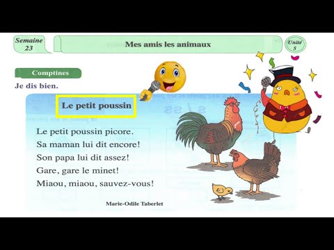 Le petit poussin - comptine pour enfants