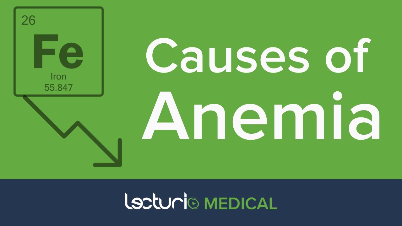 Which Anemia Is It? Red Blood Cell Disorders Explained - YouTube