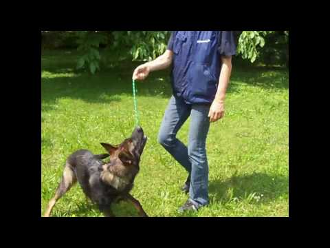 Halunke vom Weinbergblick