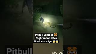 Download lagu leopard vs pitbull fight 😱😱😱😱😱#viral #shorts #short #new leopard vs pitbull fight 😱 kti jhar mp3
