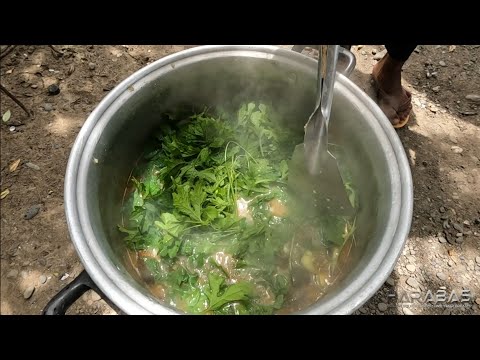 EP677-P2 - Paglalanggot ng Ampalaya | Occ. Mindoro