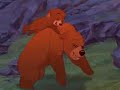 Brother Bear Commercial Dutch DVD Release BVHE