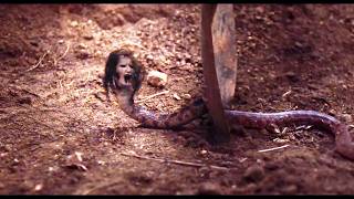 Download lagu Exhuma (2024) Movie Explained In English | Full Movie Synopsis | Don't Open Wrong Grave !! mp3 Download lagu Exhuma (2024) Movie Explained In English | Full Movie Synopsis | Don't Open Wrong Grave !! mp3