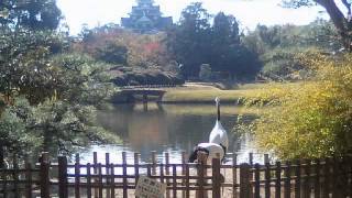 My Truth - Cocteau Twins