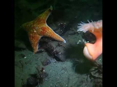 Que lindos movimientos!!!