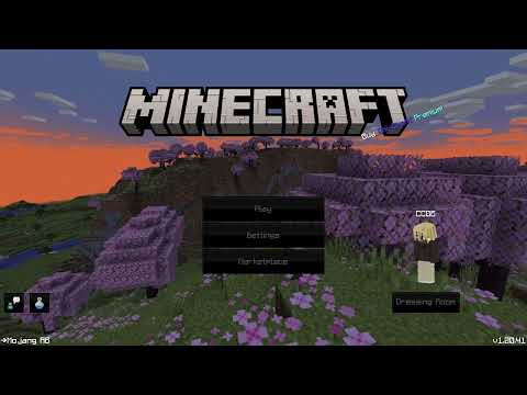 INSANE Hive Minecraft Keybinds & Settings