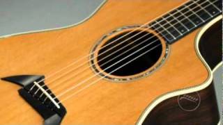 Video thumbnail for Breedlove Pro Series Sound Clips - The Perfect Guitar by theperfectguitar