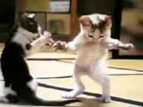 رد علينا يا باباههههههههههههههه