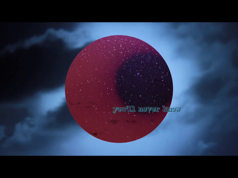 Pascal Deweze // You dislocate my wings