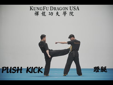 Kung Fu Dragon USA Online Tutorial: Push Kick/Deng Tui /蹬腿