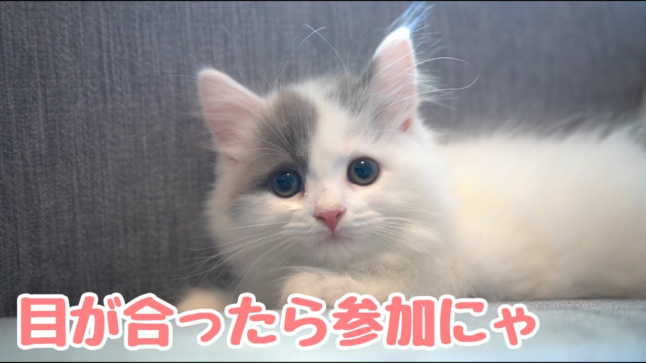 お久しぶりですm(__)m