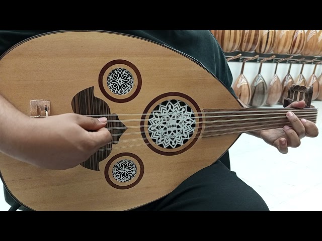 عود كهربائي احترافي والكريزر كوري