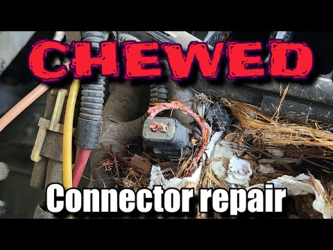 Repair injector connectors chewed by rats