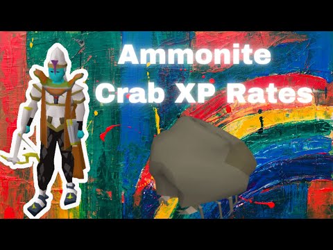 Ammonite Crabs XP Per Hour (Not what you expect)