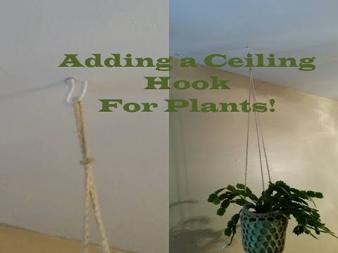 Ceiling Hooks At Best Price In India