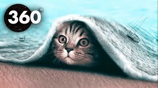 Chill-out Cats! 🎧 Chillhop / Mind Chill 360