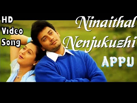 Ninaithal Nenjukuzhi | Appu HD Video Song + HD Audio | Prashanth,Devayani | Deva