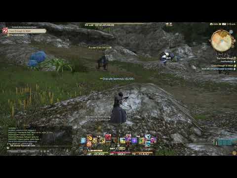 FFXIV ARR - Ninja Level 45 Ability Basics (Ten-Chi-Jin)