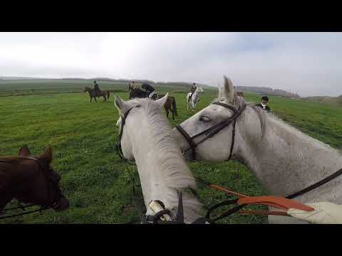 Parfour hunt MARTINICE DRAHENICE 2017