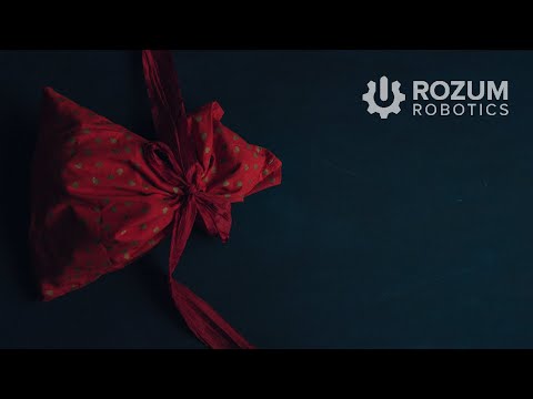 Season’s Greetings from Rozum Robotics