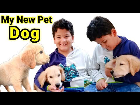My New Pet Dog by Kaushal | Kaushal new pet Dog