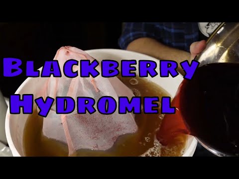 Blackberry Hydromel | Simple recipe
