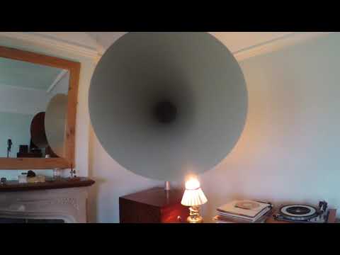 Whitey Kaufman & his Orchestra: Paddlin' Madelin Home