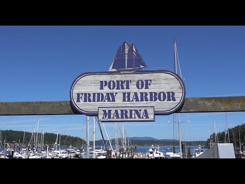 We motored into the the BUSIEST harbor in the San Juan's! | S2:E9 Sailing Stella J - Sailing the PNW