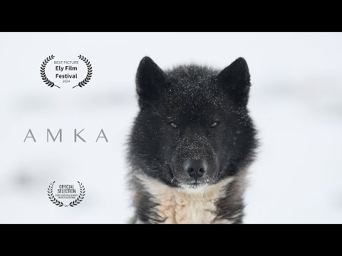 AMKA - One with a Friendly Spirit