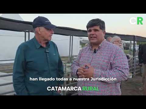 Ovinpiadas 2026 Icaño - Franco Carletta (Intendente)