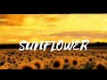 Post Malone Swae Lee Sunflower Audio