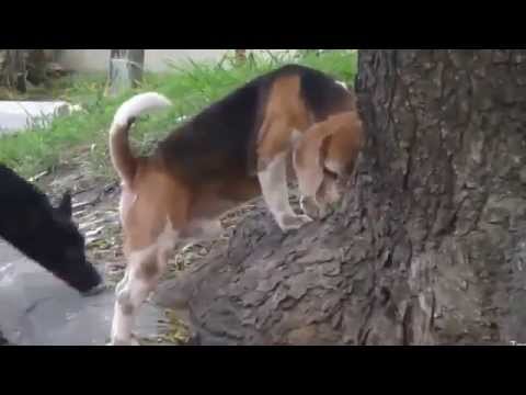 download lagu mp3 mp4 Biggest Shit, download mp3 Biggest Shit free download, download mp3 Biggest Shit