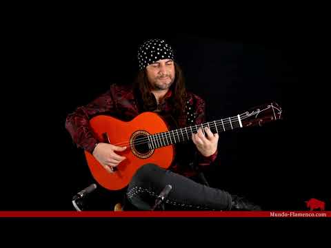 Bulerias Amir John Haddad