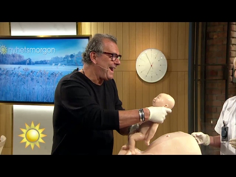 Steffos förlossningsglädje! - Nyhetsmorgon (TV4)