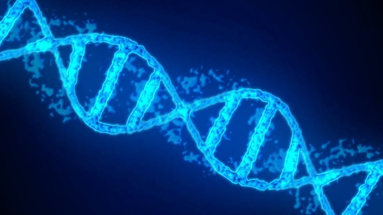 Trace Your Roots Through DNA Discoveries