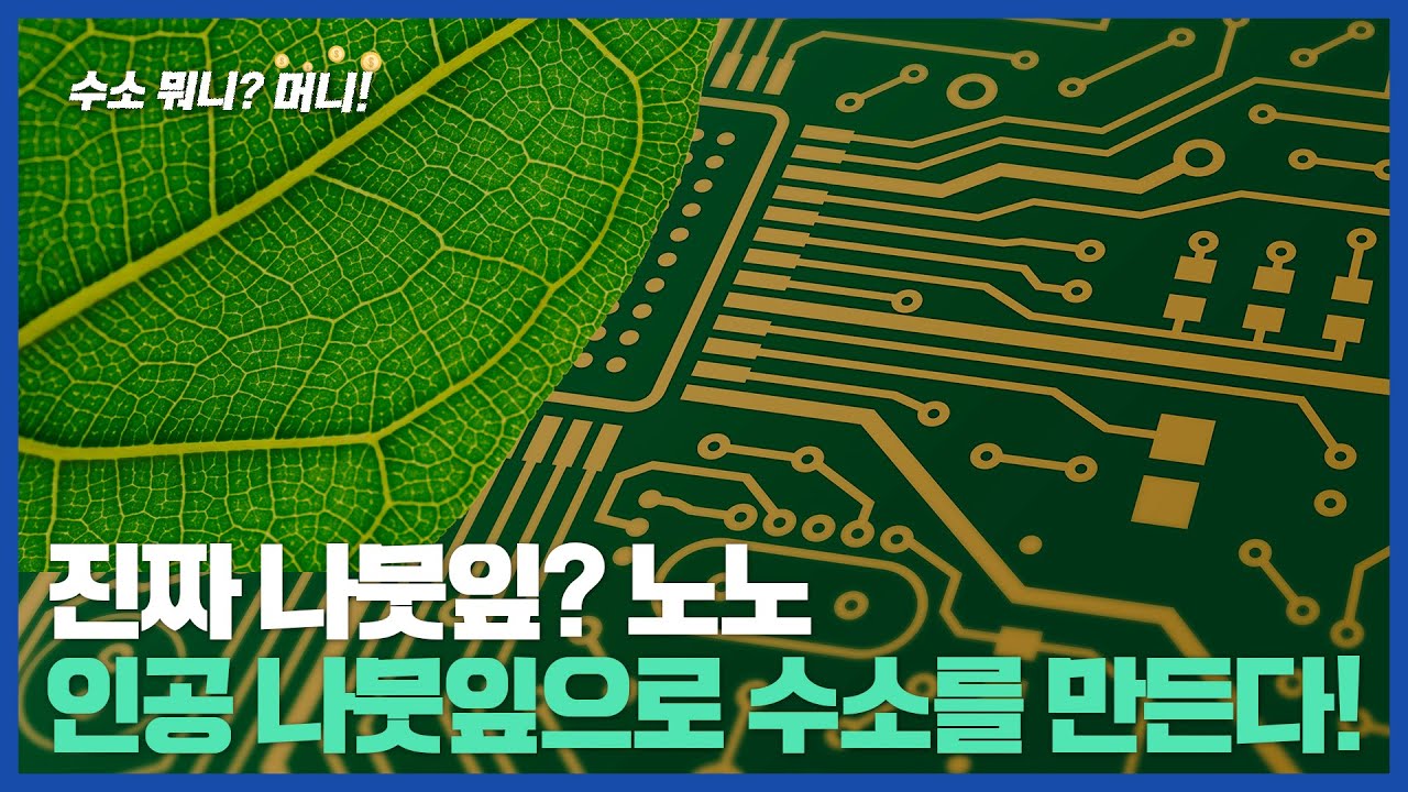[수소뭐니?머니!] 식물만 광합성? 이제는 인공 나뭇잎으로 수소를 만든다!