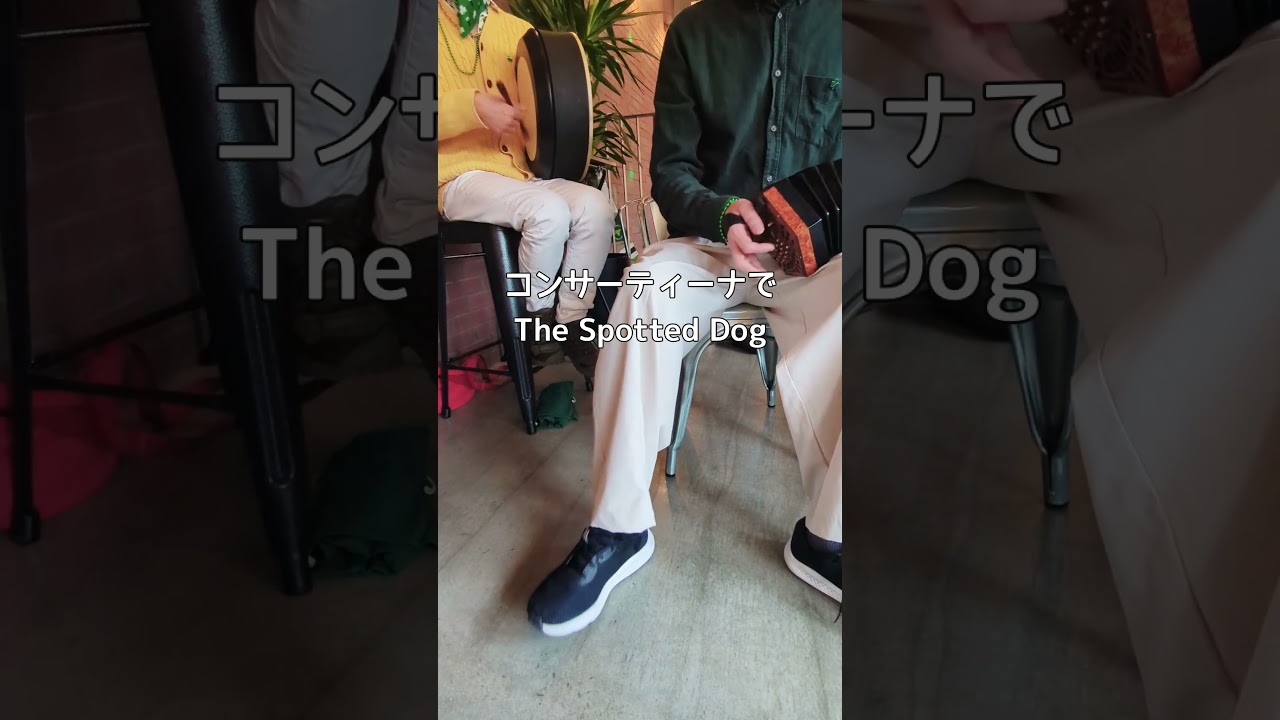 コンサーティーナとバウロン☘️The Spotted Dog
