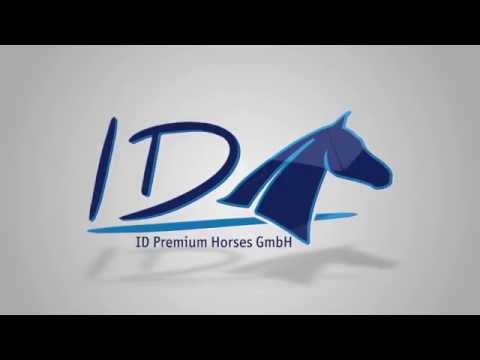 Alant-Riverman stallion * 2013