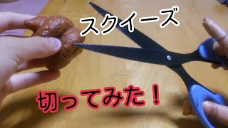 スクイーズ切ってみた！