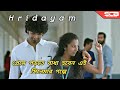 Hridayam movie explained in Bangla। malayalam movie। movie explantion bangla।#Hridayam #malayalam