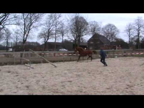 Embaniki 13 maart 2011