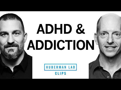 How ADHD Affects Addiction & Impulsivity | Dr. John Kruse & Dr. Andrew Huberman