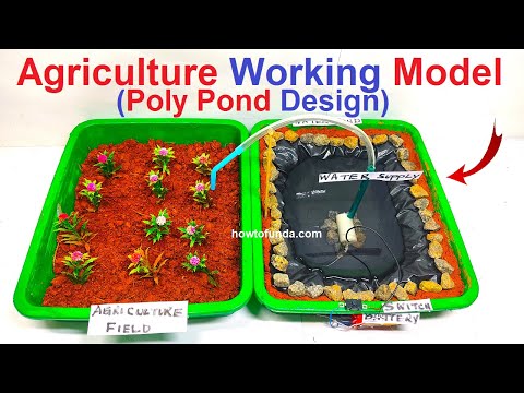 hydroponics farming agriculture working model vertical inspire science project howtofunda