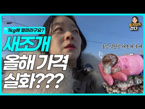 2026 홍성 남당항 새조개축제 가격 기간 첫날 방문리뷰