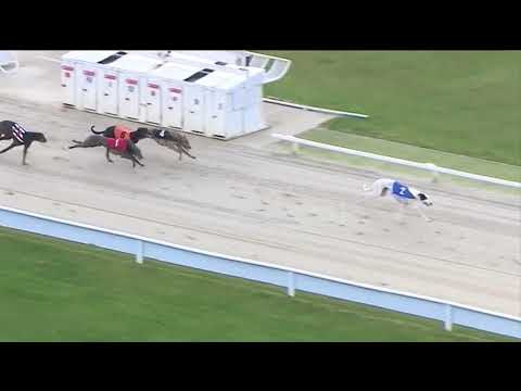 2018 STAR SPORTS DERBY PLATE - HEAT 1 - T2  SPORTING DAVE