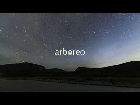 Peter J. Malmsjö - First Step