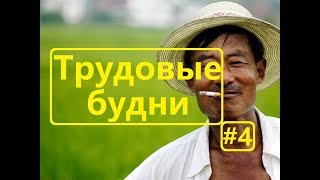 Видео. Трудовые будни
